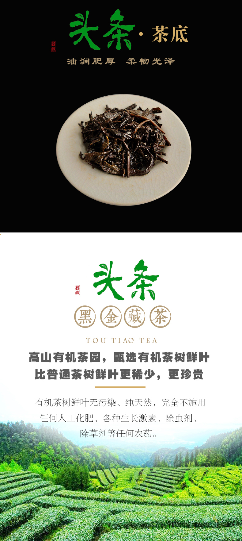 头条茶品 3
