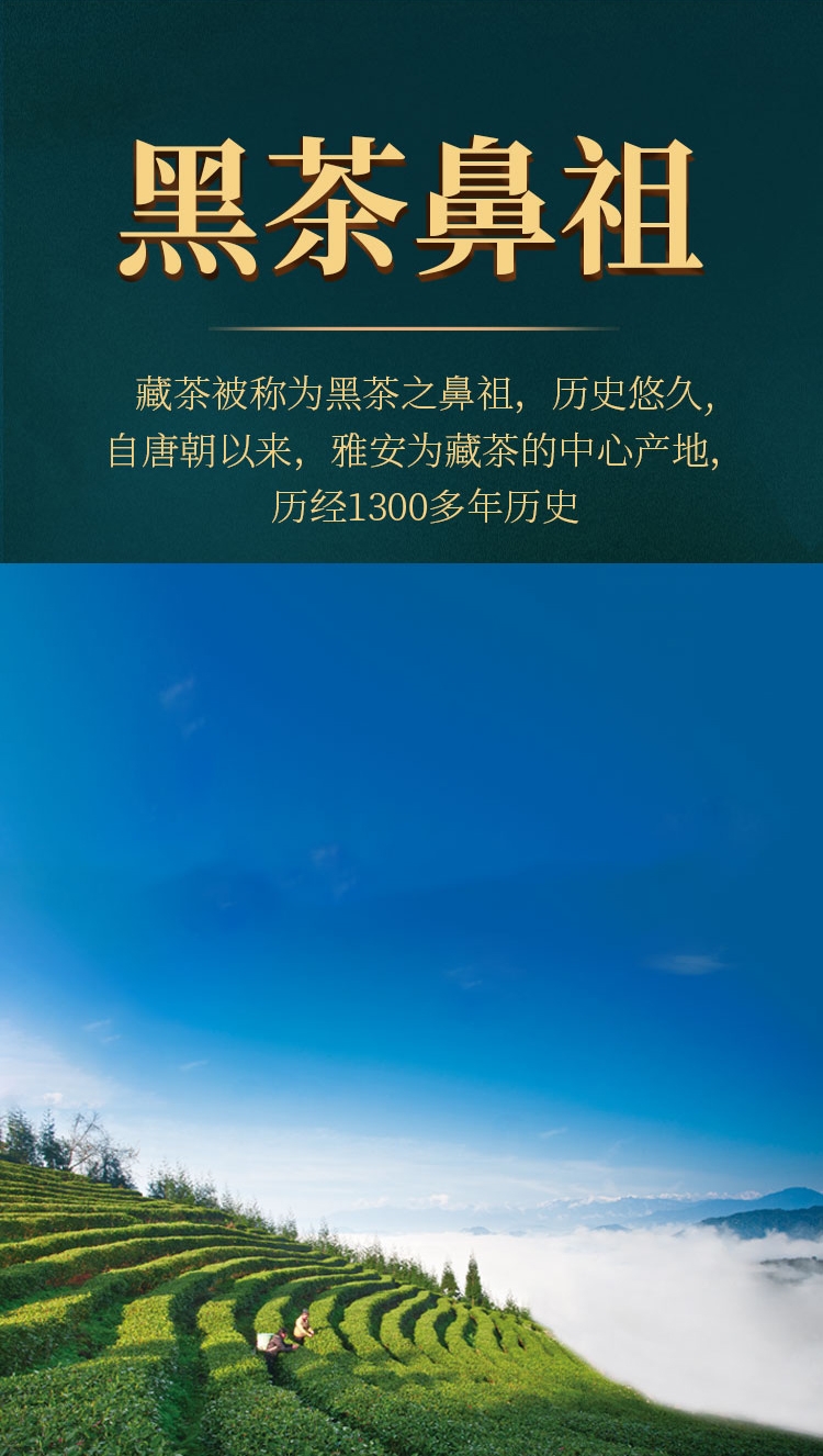 焖泡法
